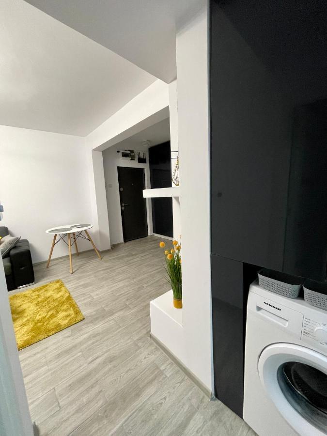Timisoara Central Apartment New Parking !! Timişoara Exterior foto